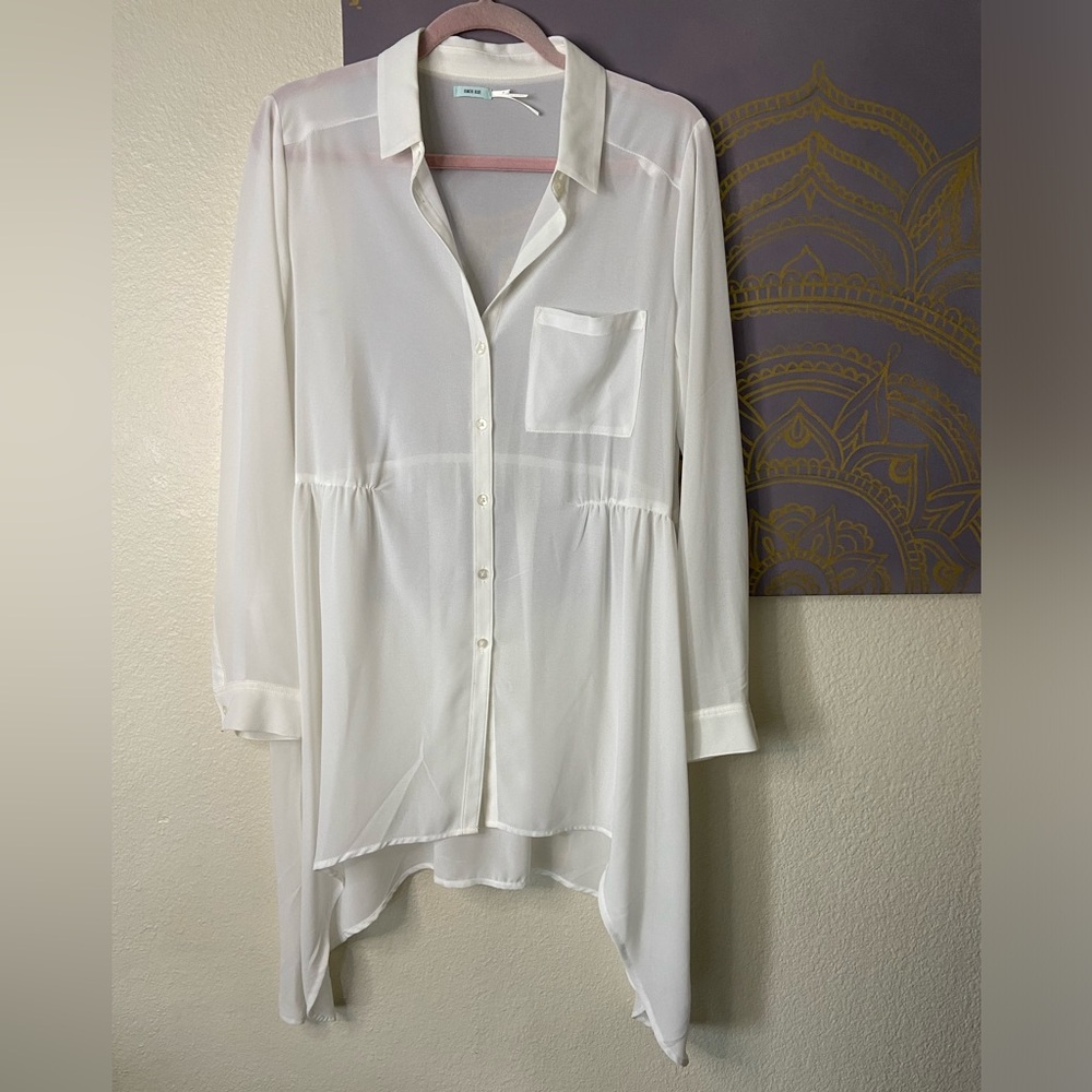 KIMCHI BLUE Sheer Button Down